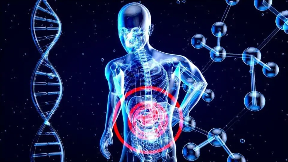 Understanding Exercise and Gut Health The Impact of OvertrainingThird Coast Training