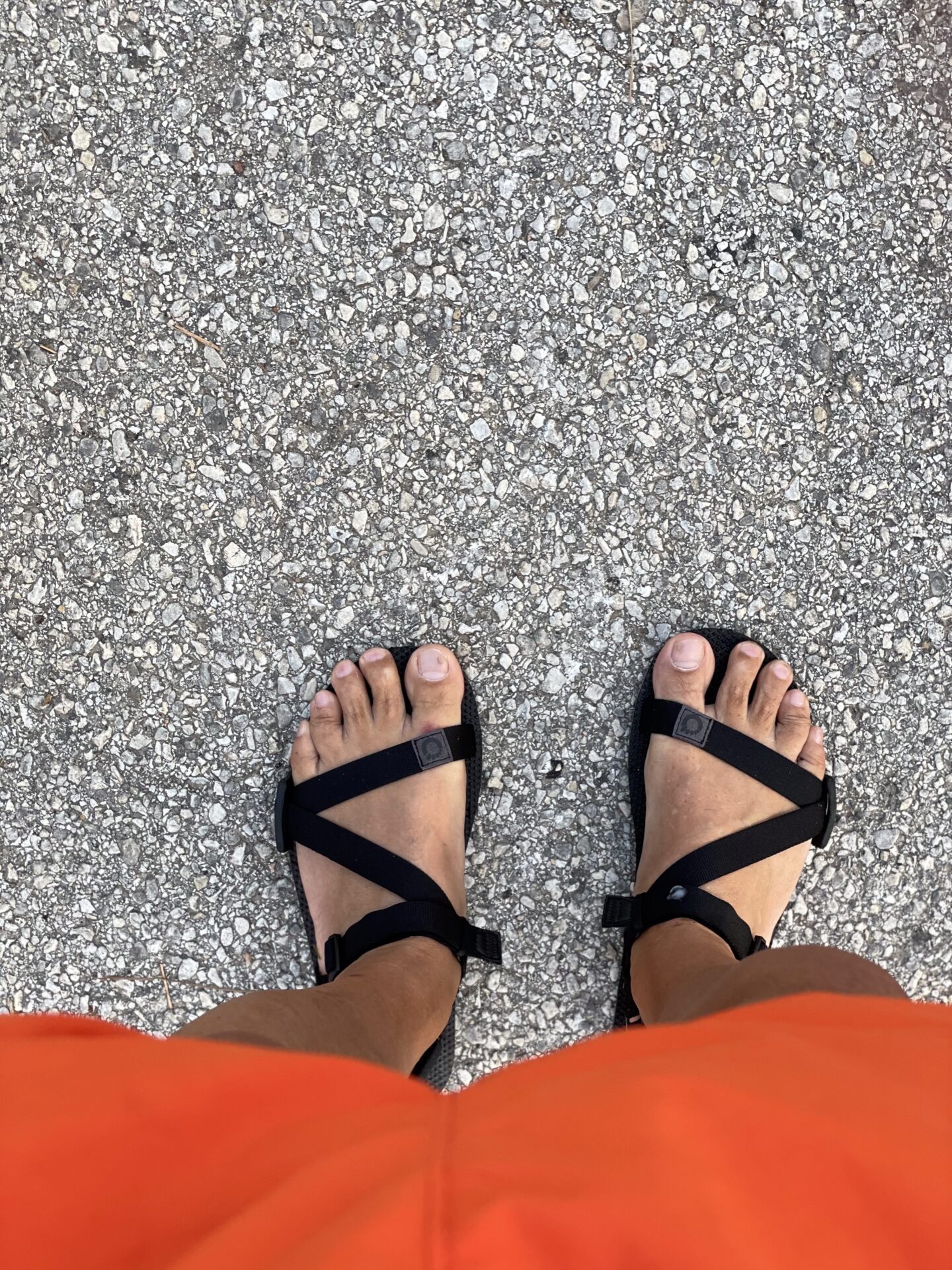 third coast training triathlon 01 (176)