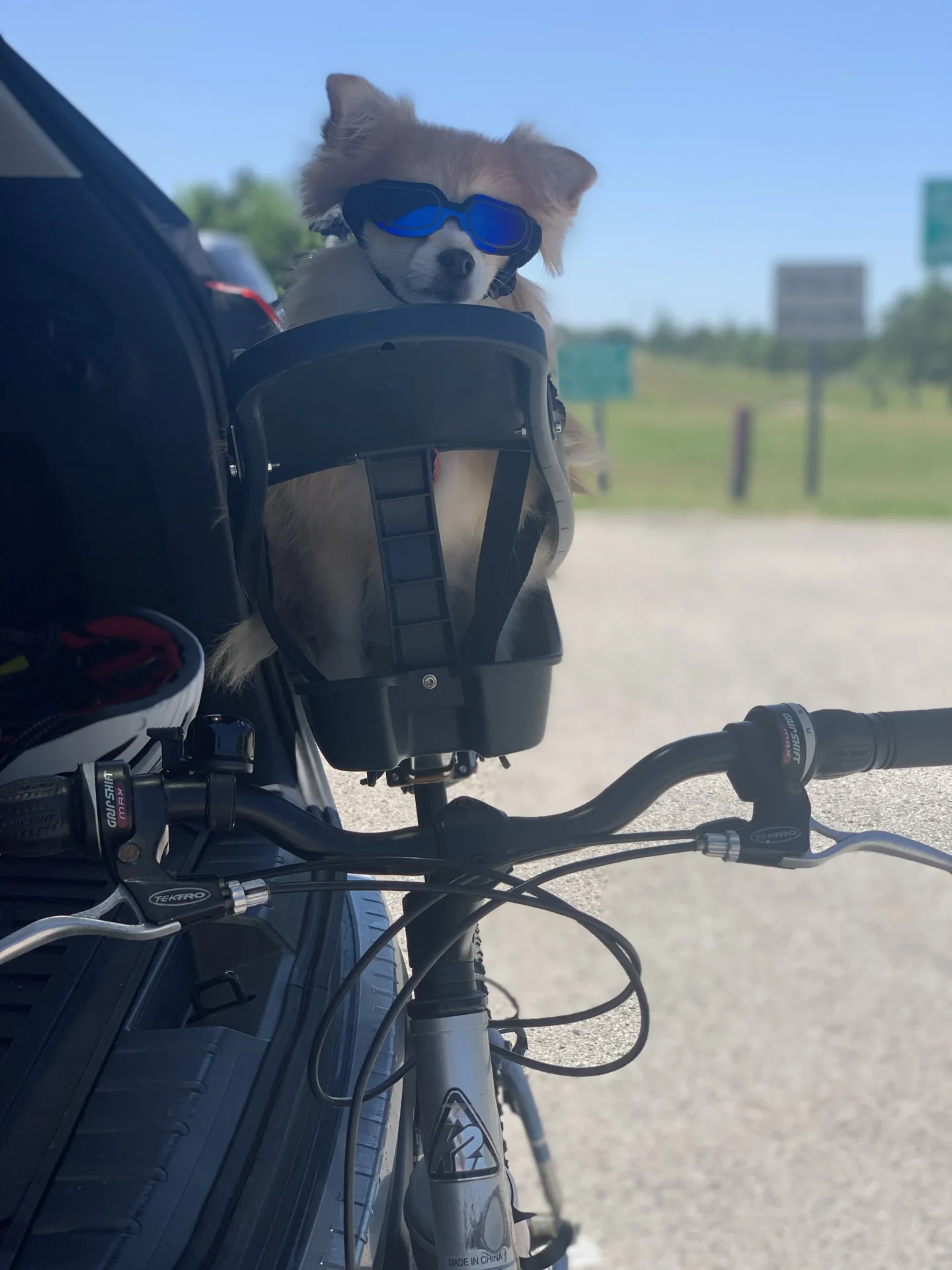 third coast training triathlon 01 (233)