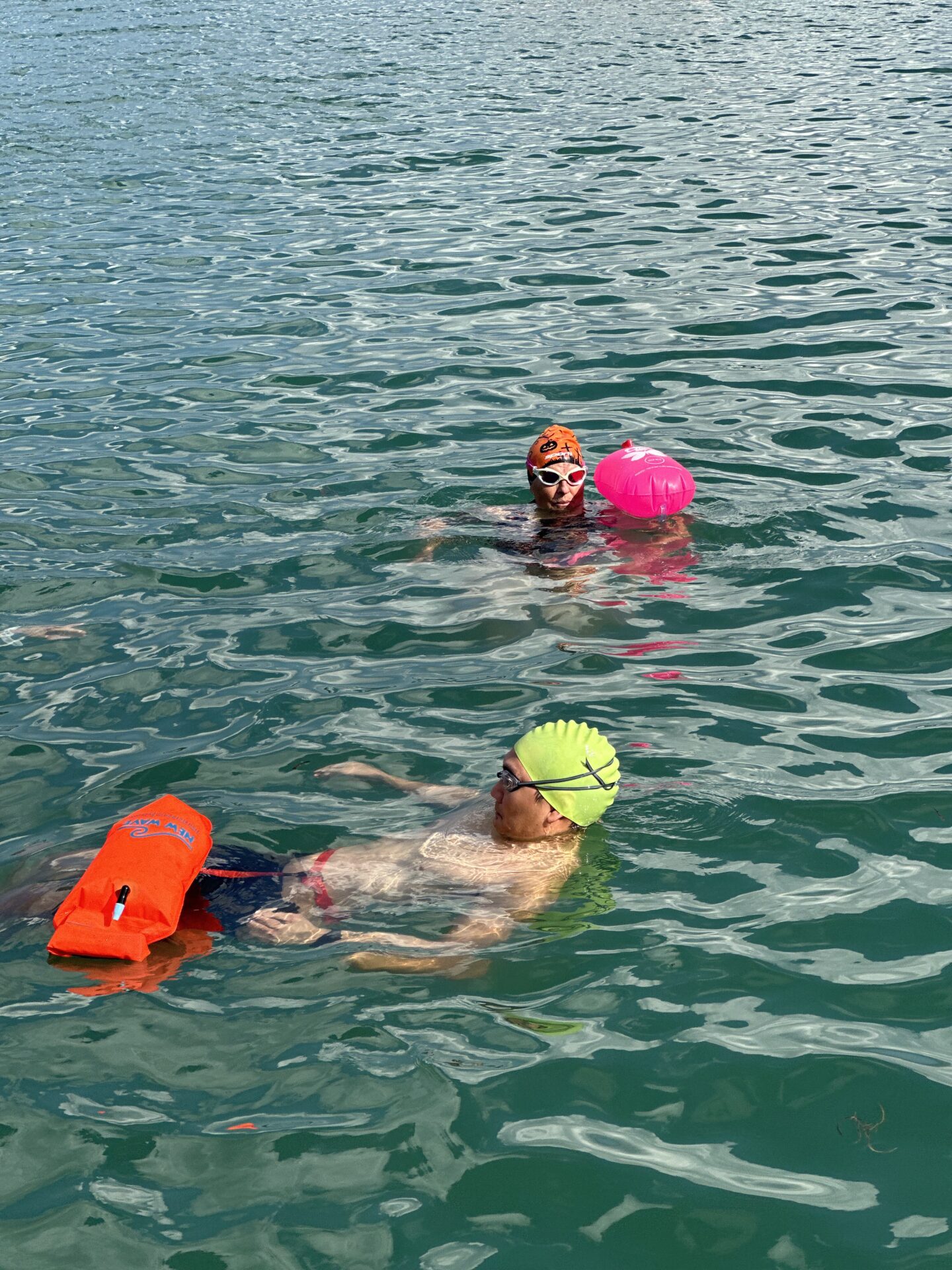 third coast training triathlon 01 (337)