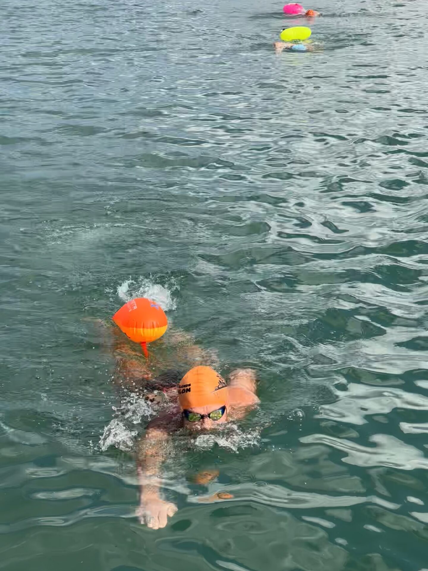 third coast training triathlon 01 (340)