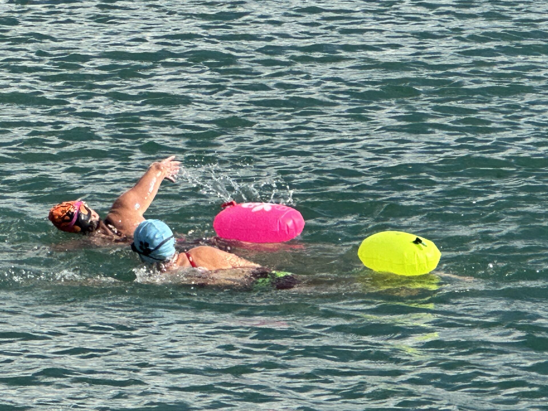 third coast training triathlon 01 (341)