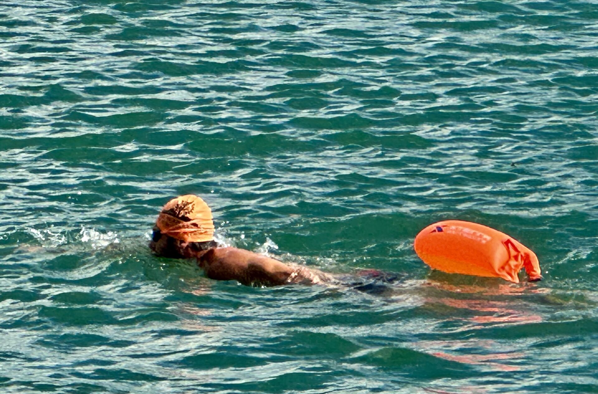 third coast training triathlon 01 (342)