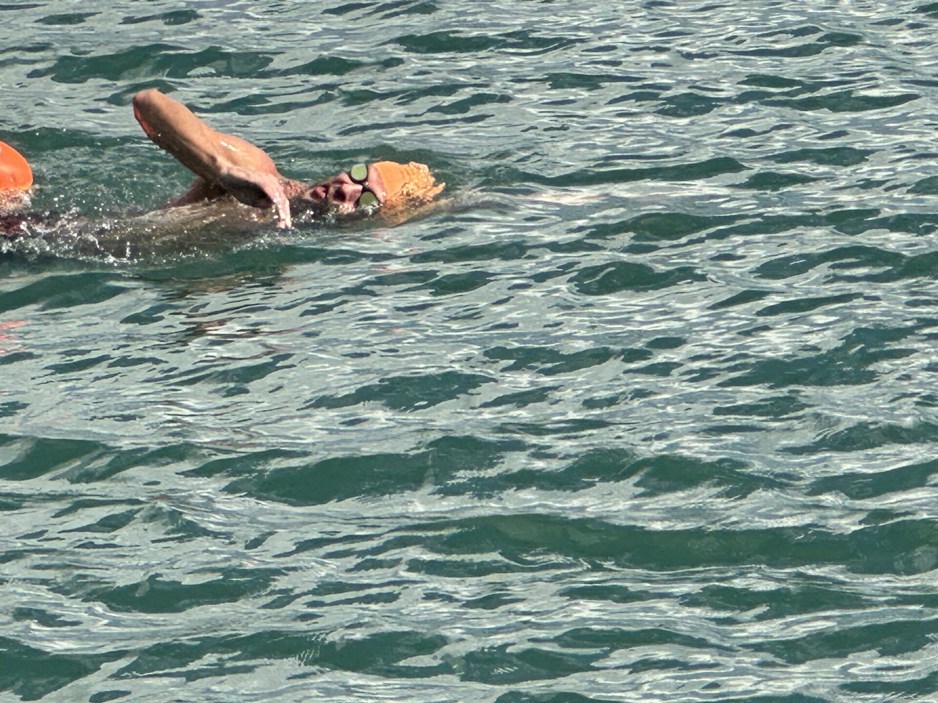 third coast training triathlon 01 (346)