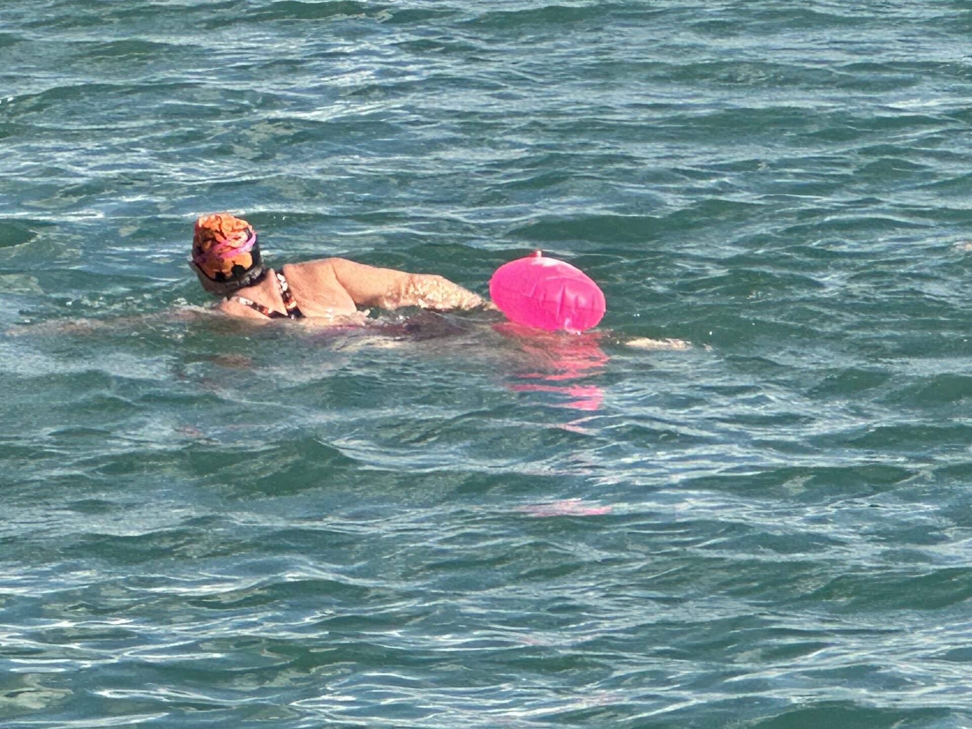 third coast training triathlon 01 (348)