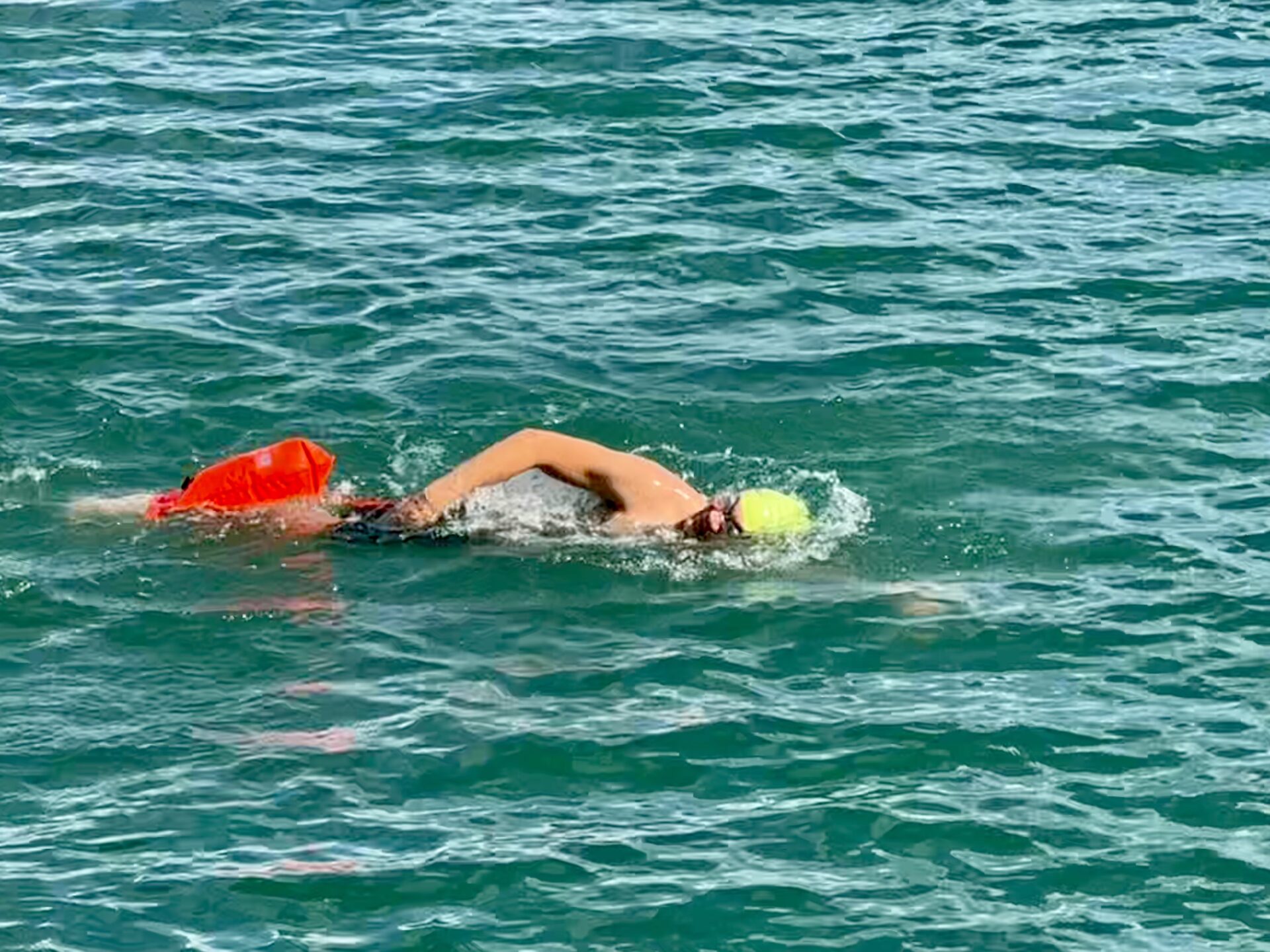 third coast training triathlon 01 (349)