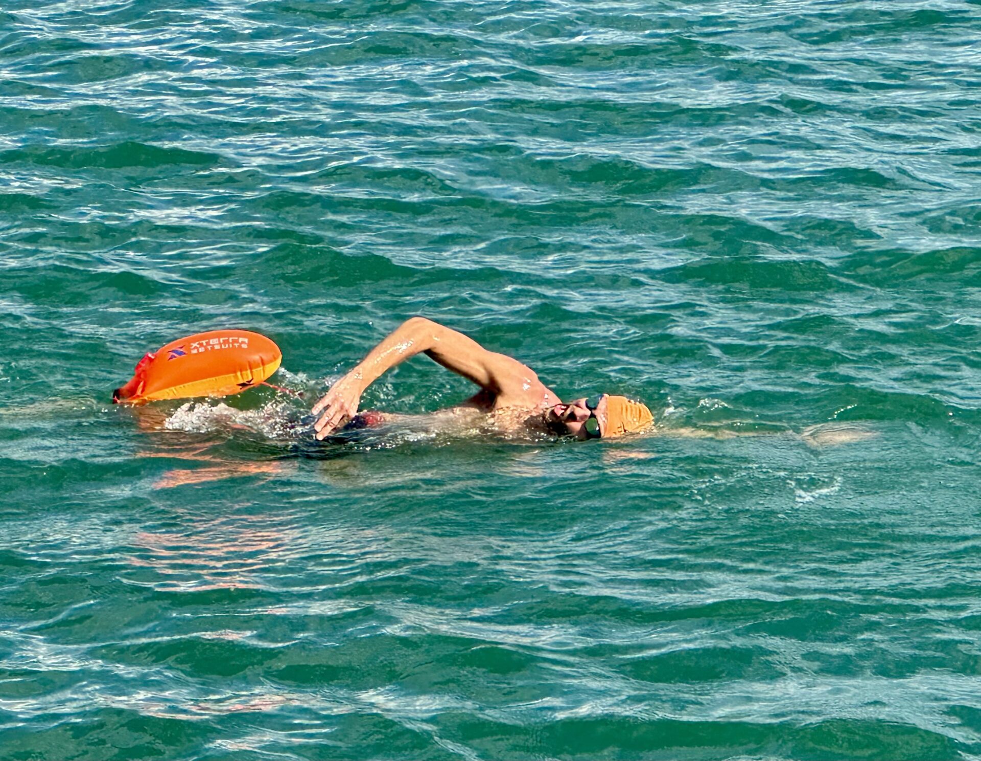 third coast training triathlon 01 (350)