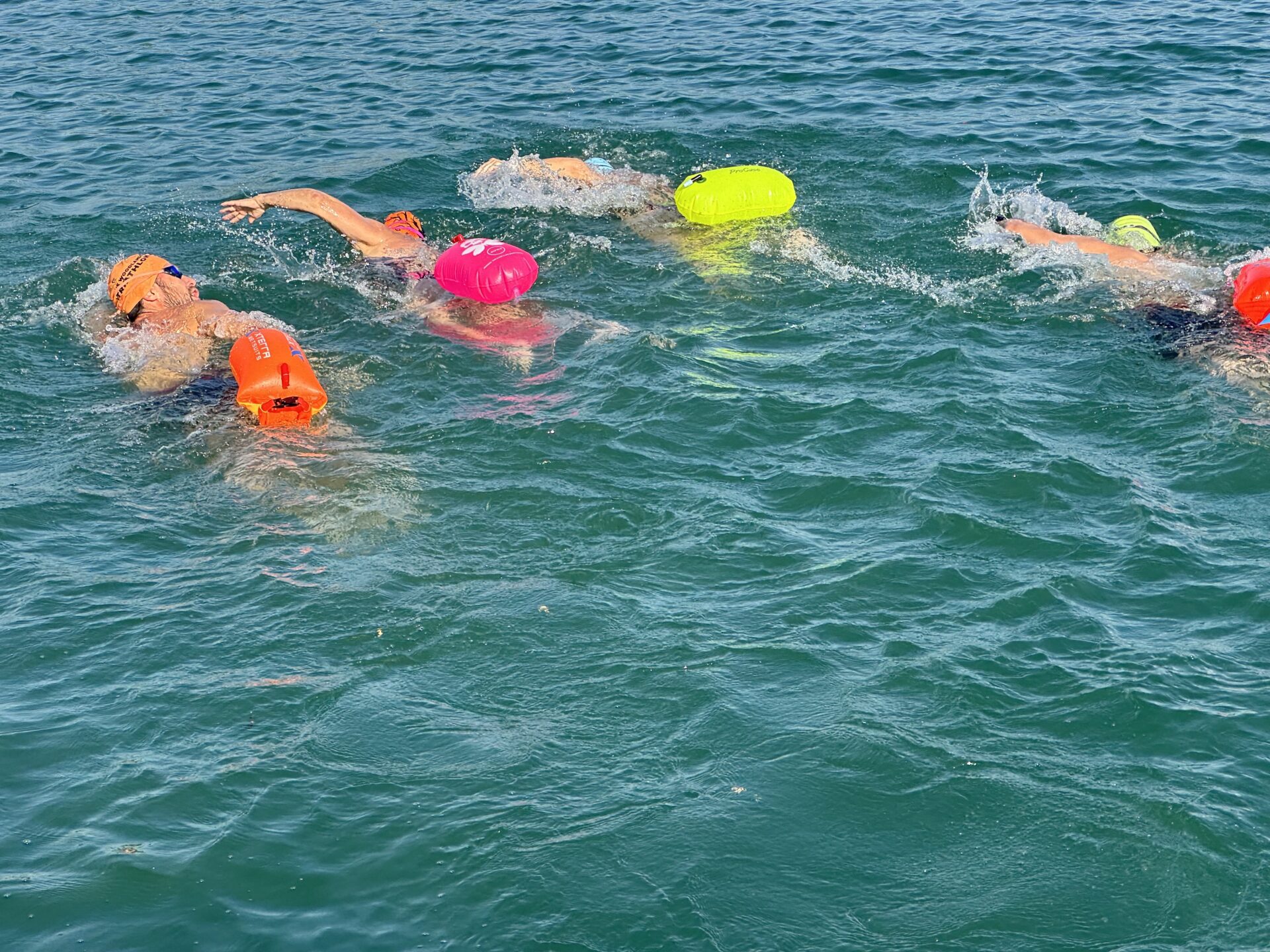 third coast training triathlon 01 (352)