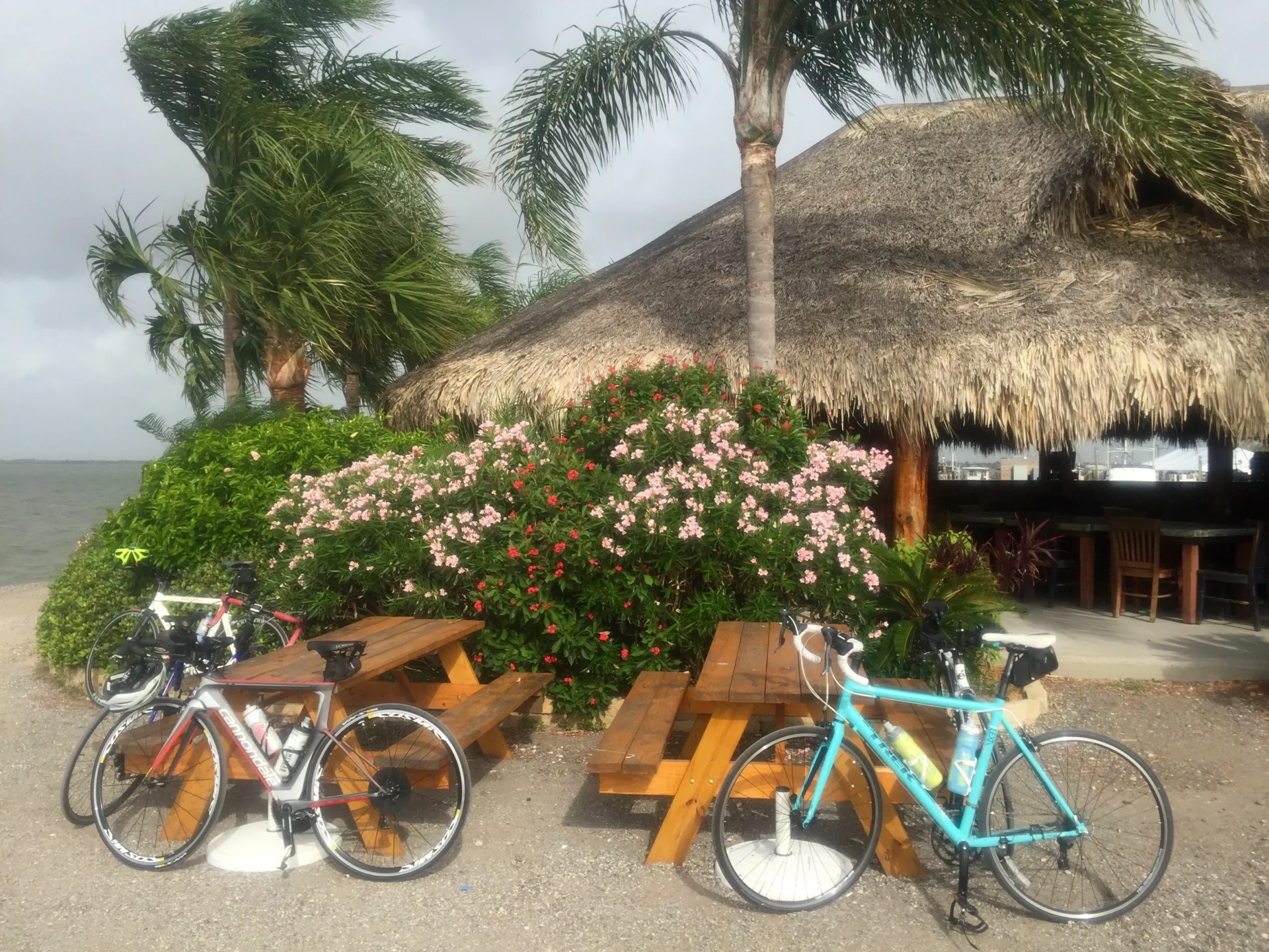 third coast training triathlon 01 (80)